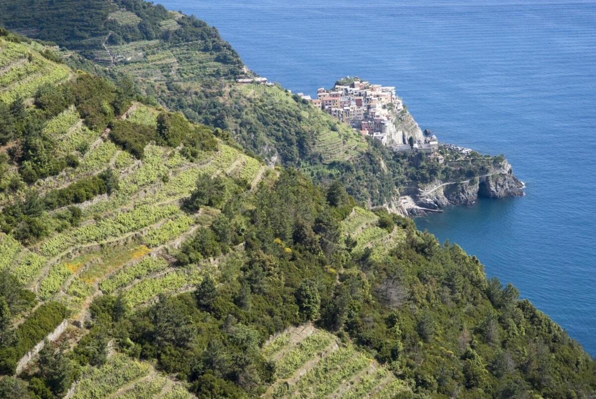La Casa Fra Gli Ulivi Luxury Apartments With Pool Near Cinque Terre And Tuscany Monte Marcello Dış mekan fotoğraf